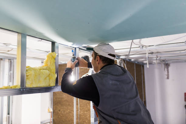 Best Types of Insulation in Frankfort, IL
