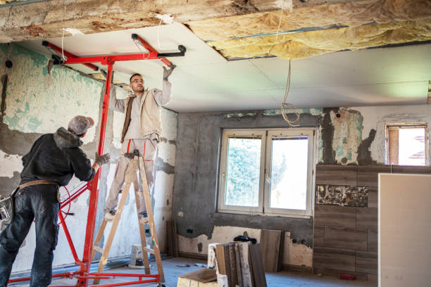 Best Insulation Installation Services in Frankfort, IL